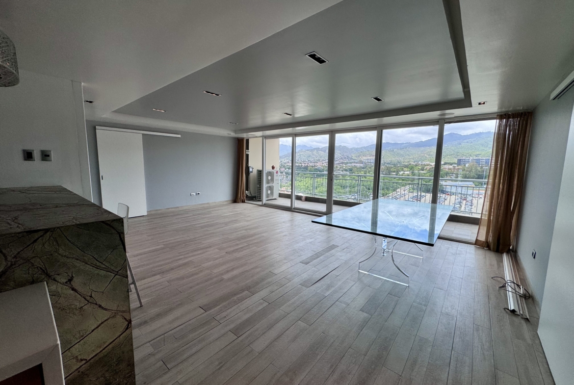 Penthouse en Green Tower