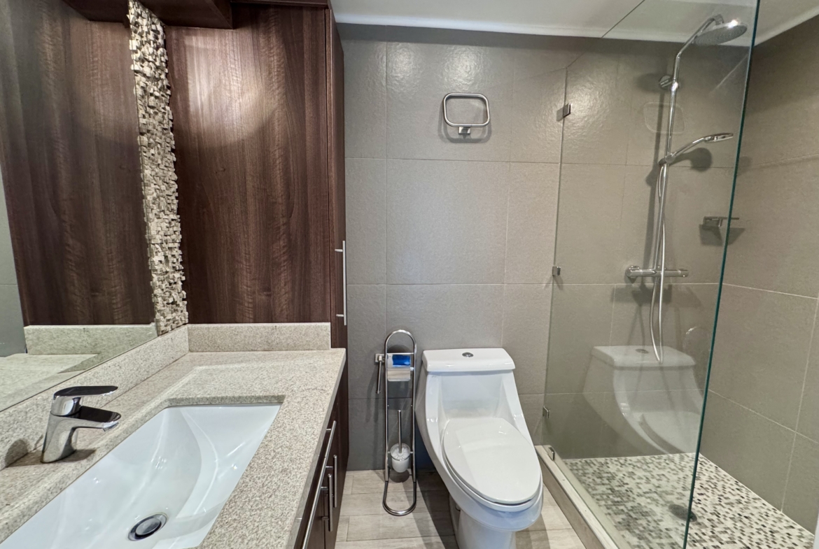 Penthouse en Green Tower